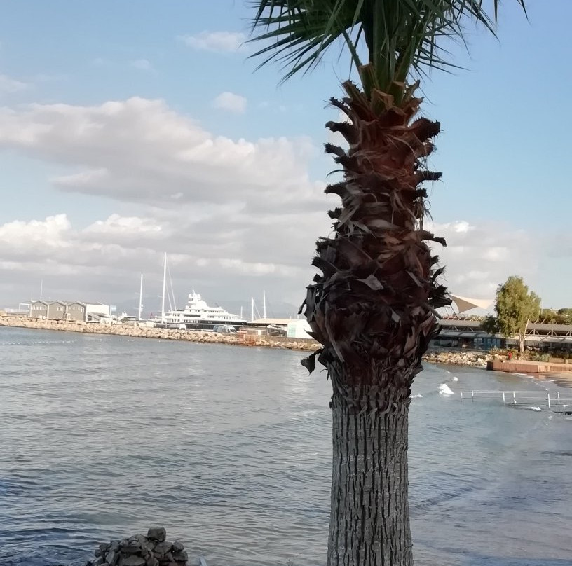 Downtown Beach-库萨达斯必去景点