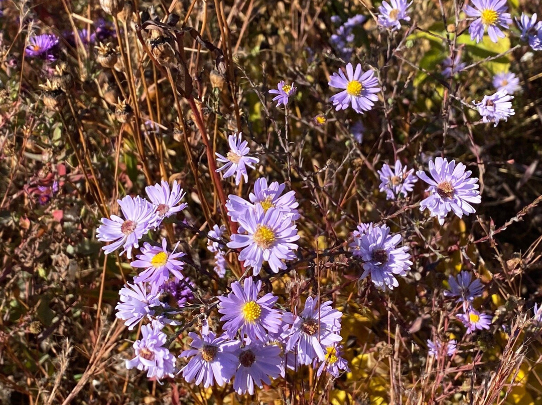 Phoenix Park-欧克雷尔必去景点
