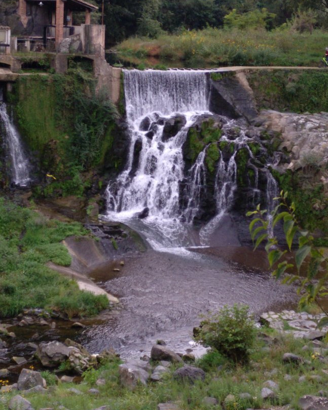 Salt del Moli Fondo景点图片