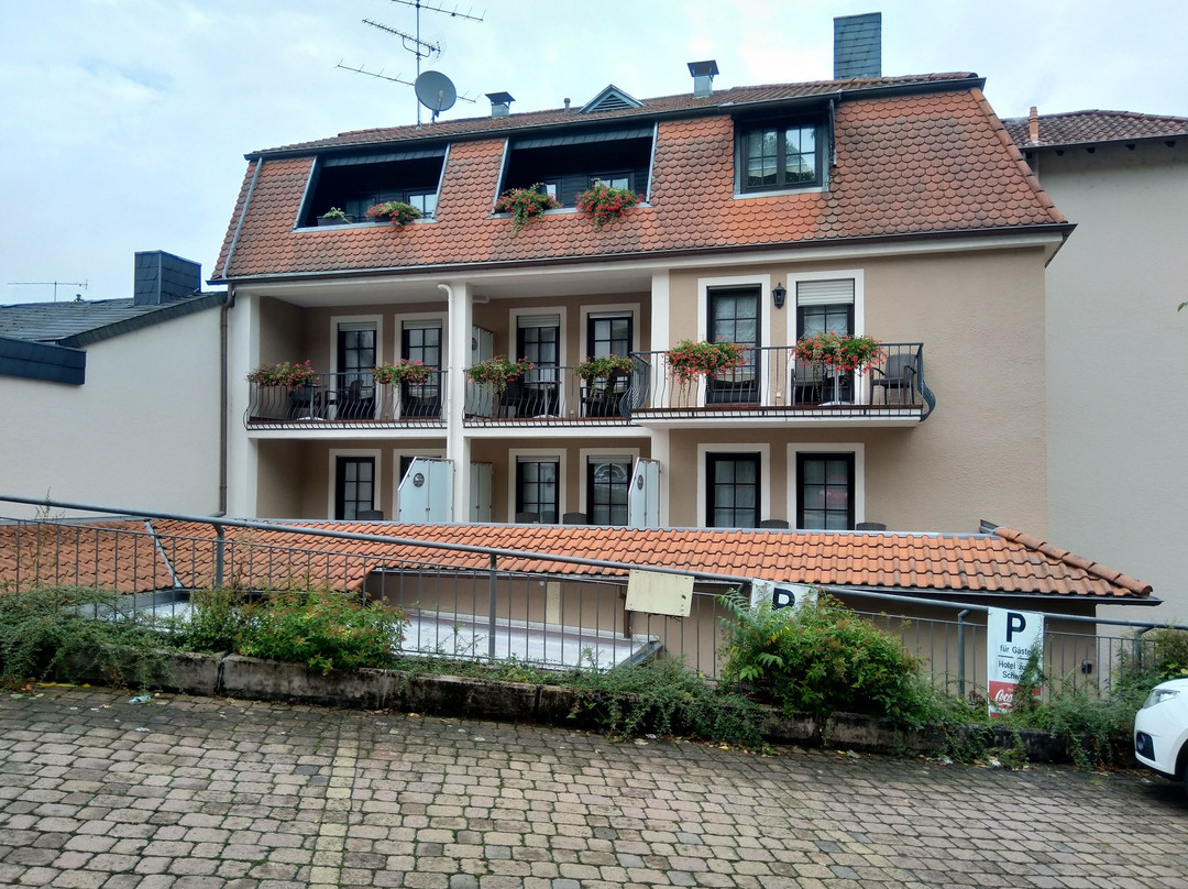 Hotel Zum Schwan主图