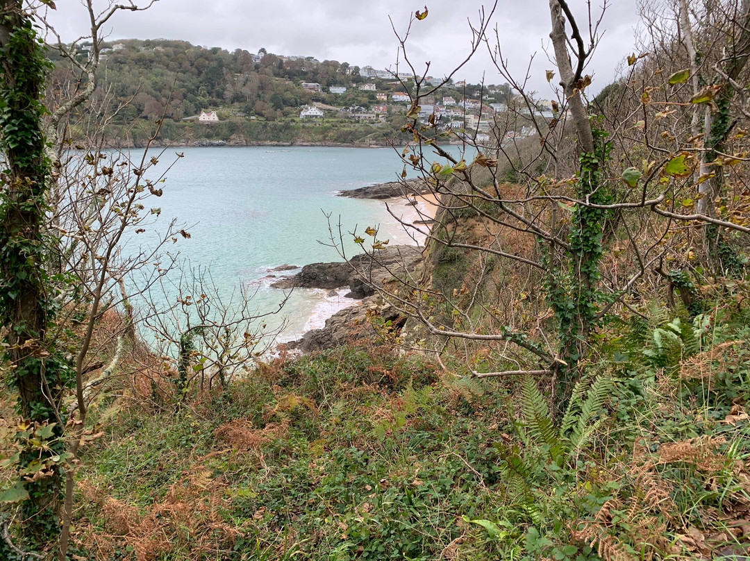 Salcombe to Bolt Head Walk-Salcombe必去景点