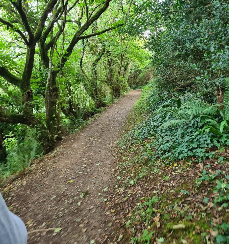 Hall Walk-福伊必去景点