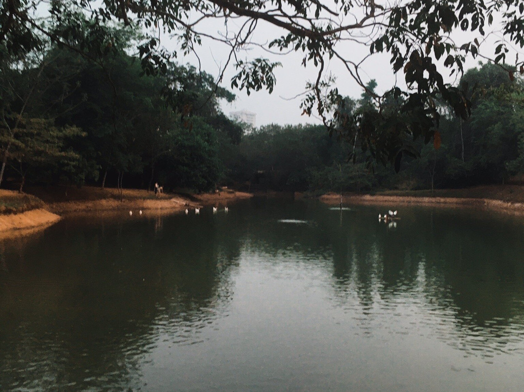 Parque Municipal de Sorriso景点图片