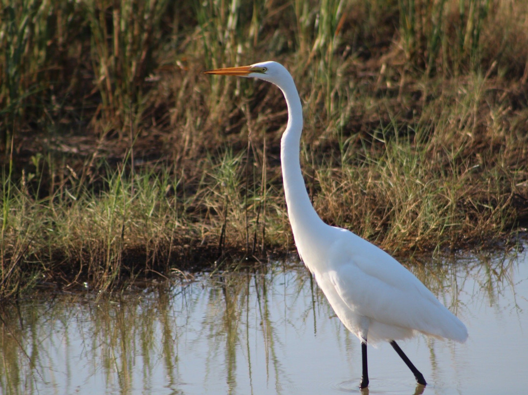 Lighthouse Beach-Port Lavaca必去景点