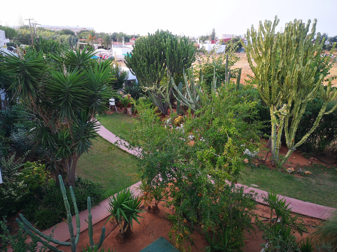 Oasis Beach Hotel主图