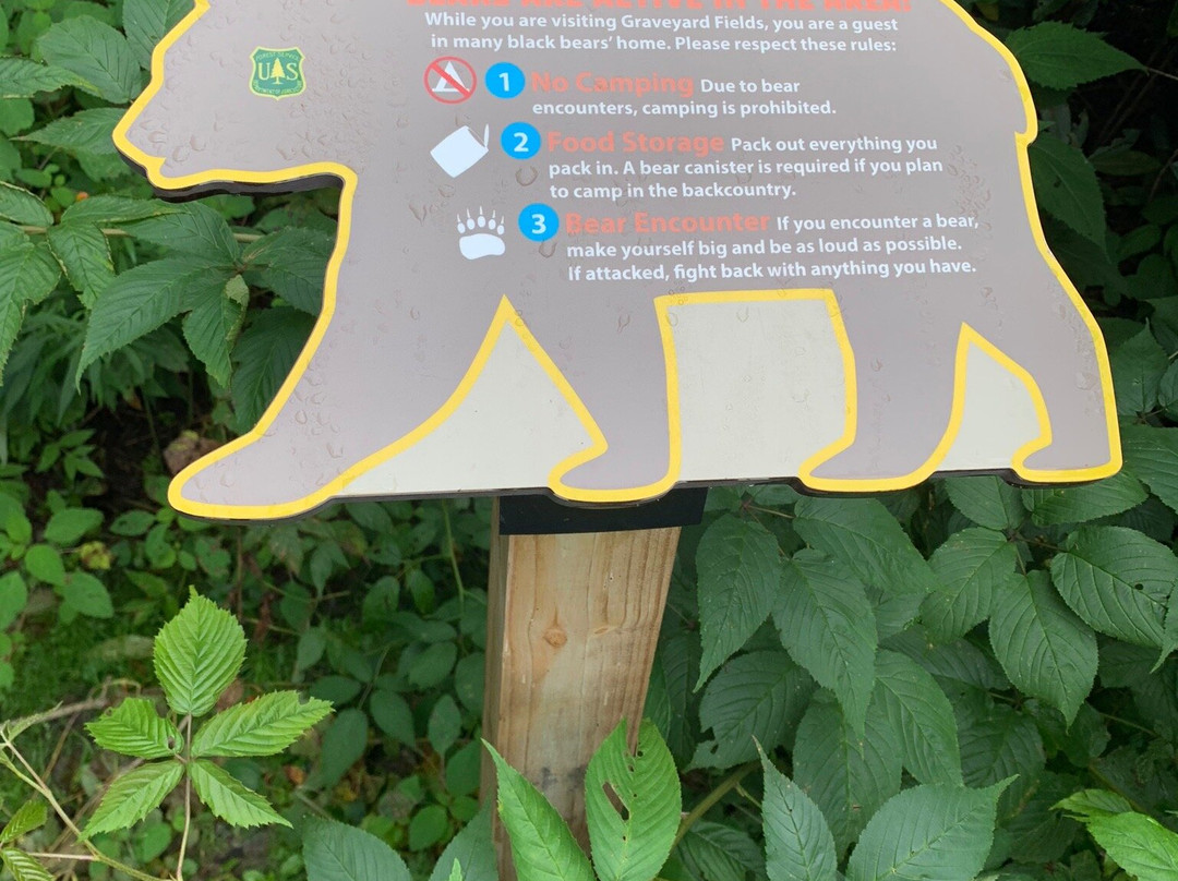 Graveyard Fields Hike & Waterfalls-Canton必去景点