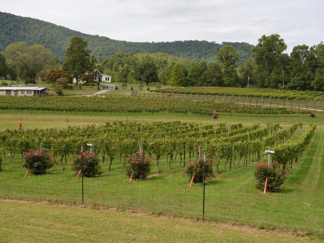 Stonewall Creek Vineyards景点图片