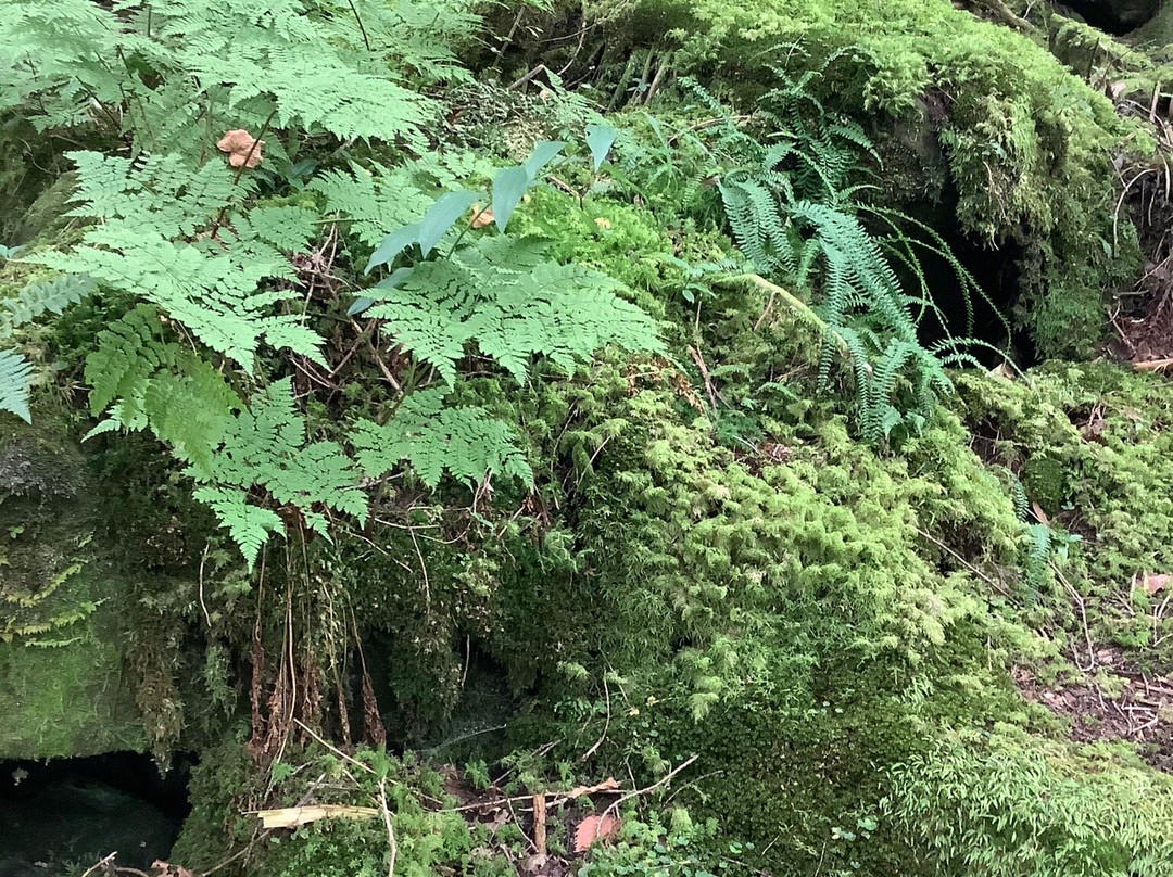 Tateshina Otaki Fall-茅野市必去景点