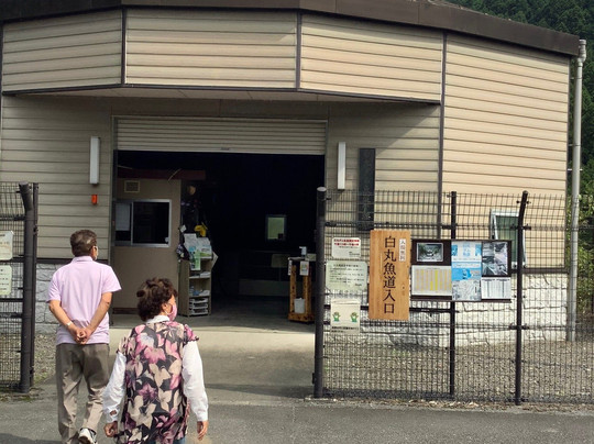 Shiromaru Chosei-chi Dam-奥多摩町必去景点