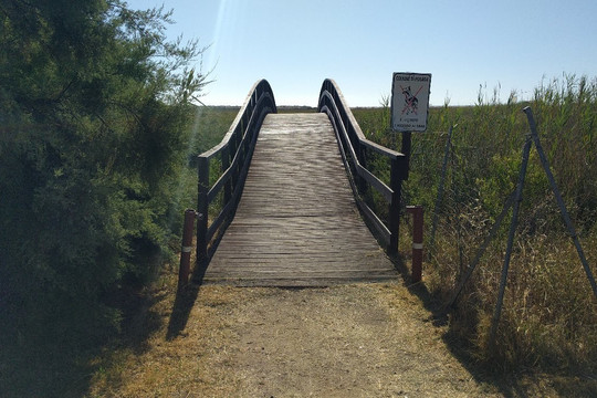 Spiaggia Di Sutt'e Riu (i 2 Pini)-Posada必去景点