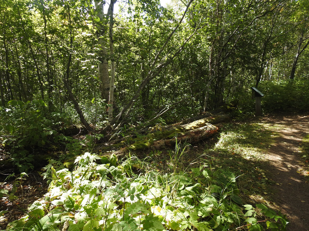 Sugarloaf Cove Nature Center-Schroeder必去景点