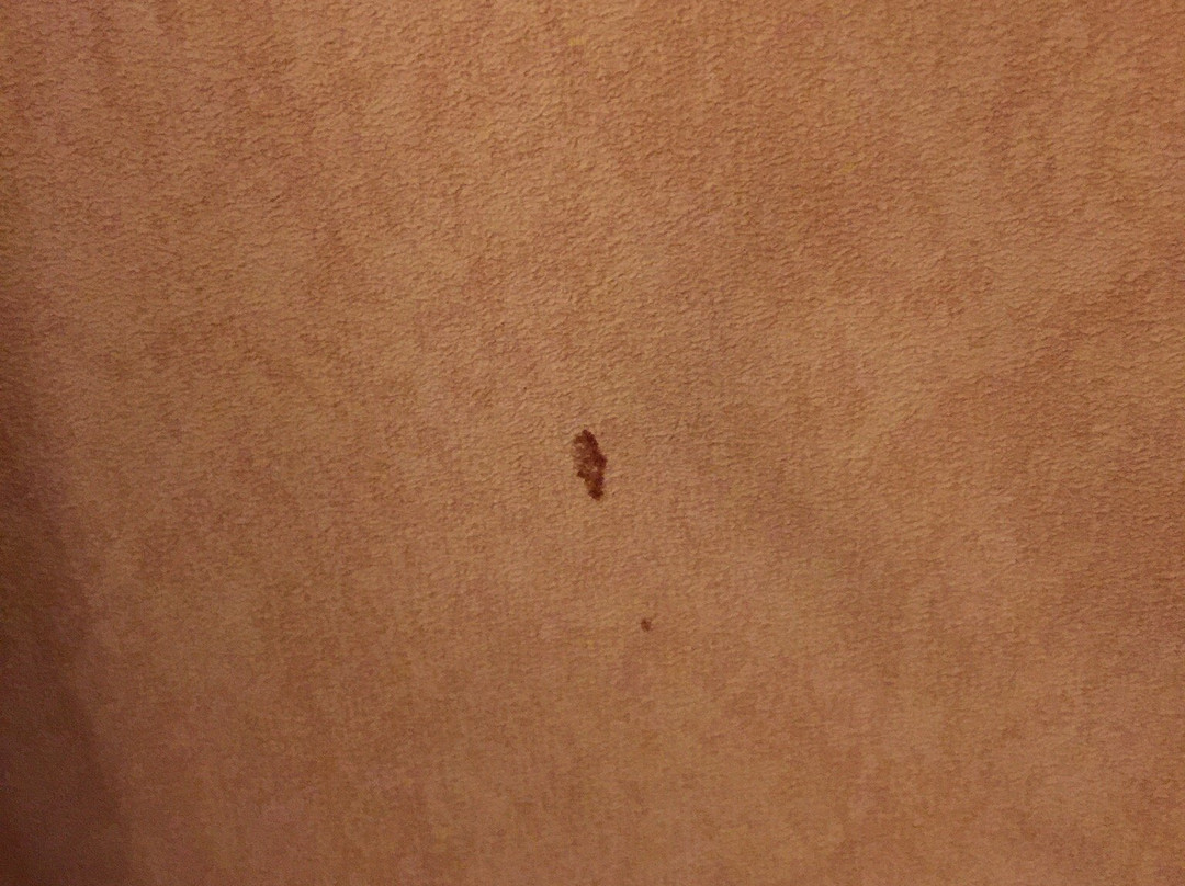 汉堡凯富套房酒店主图