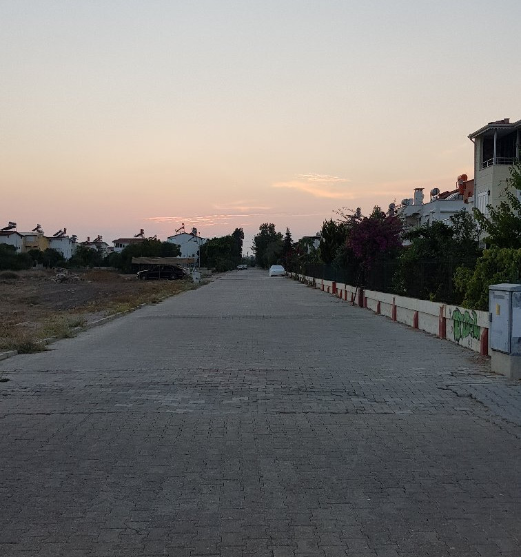 Beydaglari Sahil Milli Parki景点图片