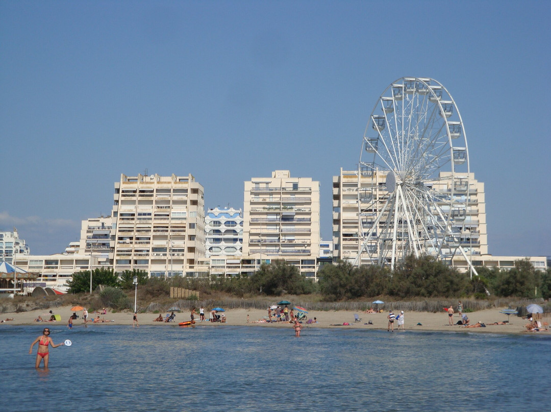 Plage du Centre Ville - Point Zéro景点图片