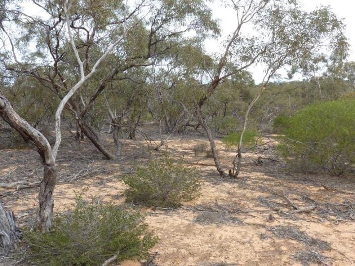 Hattah Lakes Nature Discovery Trail
