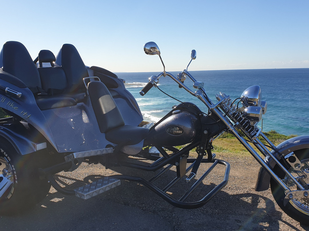 King Edward Park-纽卡斯尔必去景点