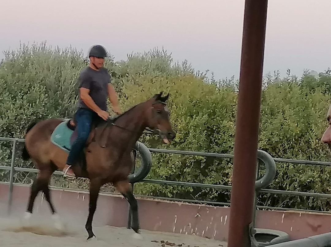 The Ranch North Cyprus景点图片