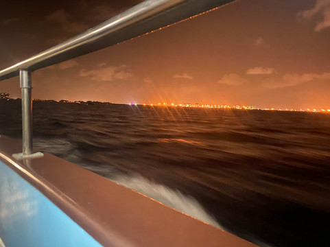 The Flamingo-劳德代尔堡必去景点