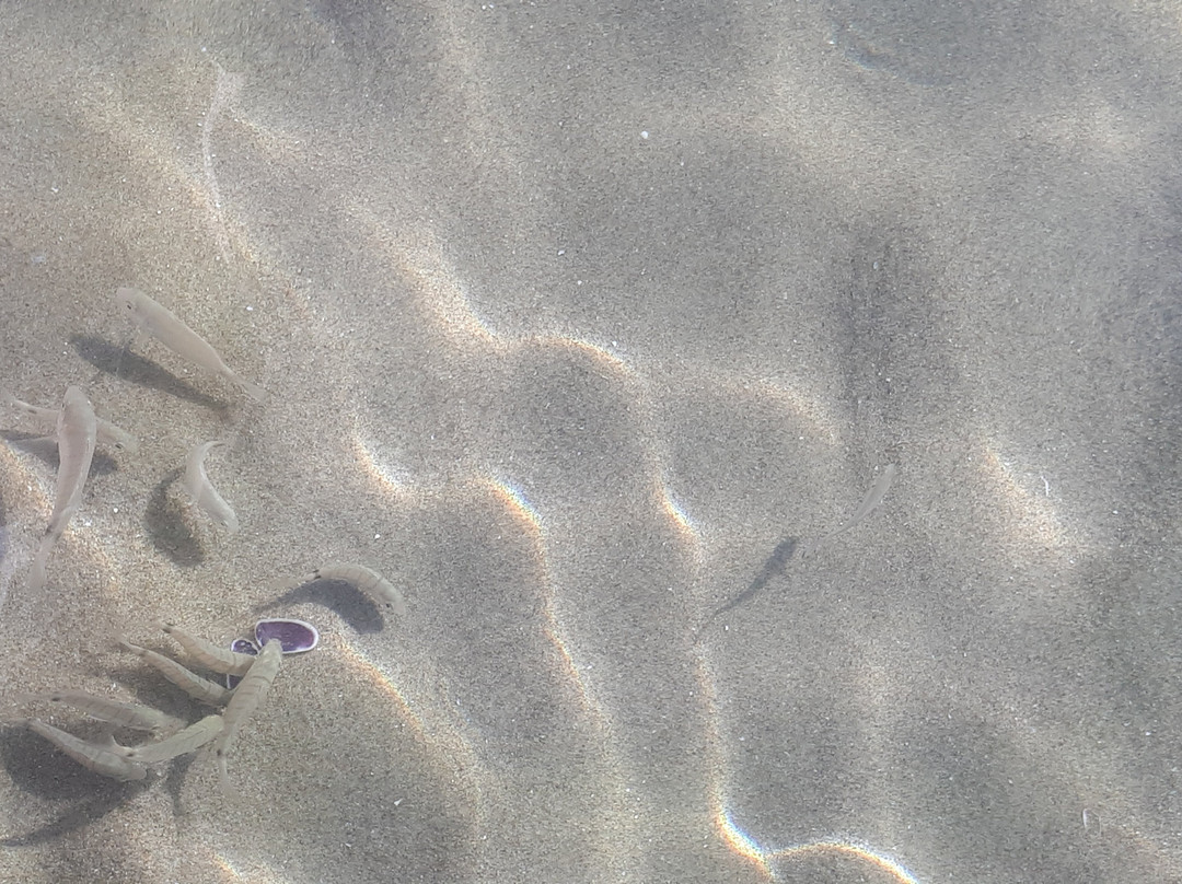 Ticho's Greenblu Hotel主图