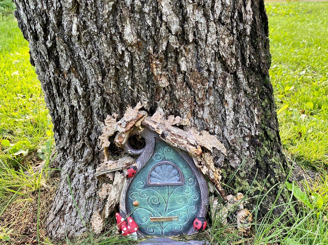 Wolseley Swinging Bridge-Wolseley必去景点