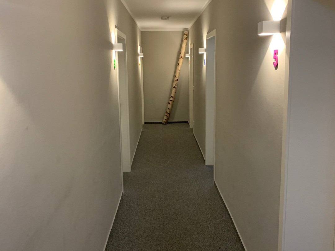 Hotel Der Grüne Baum主图