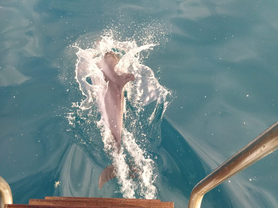 Vip Sailing Taormina-Giardini Naxos必去景点