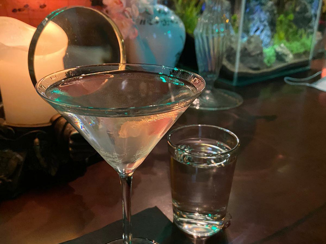 Cocktail Bar Alchemikas-维尔纽斯必去景点