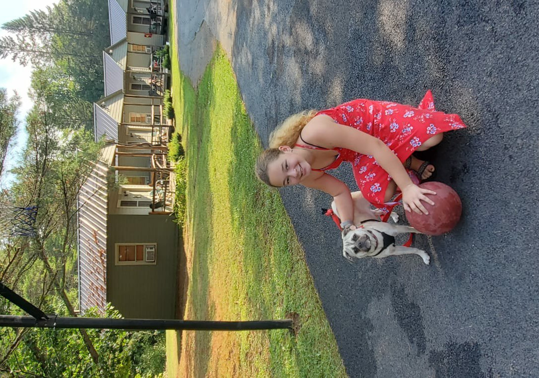 Pine Tree Motel & Cabins主图