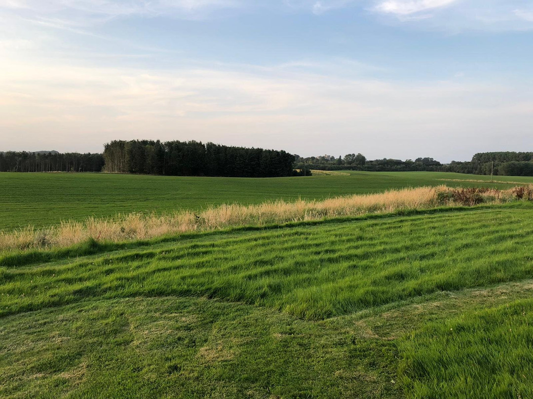 Patrick Brompton旅游攻略图片