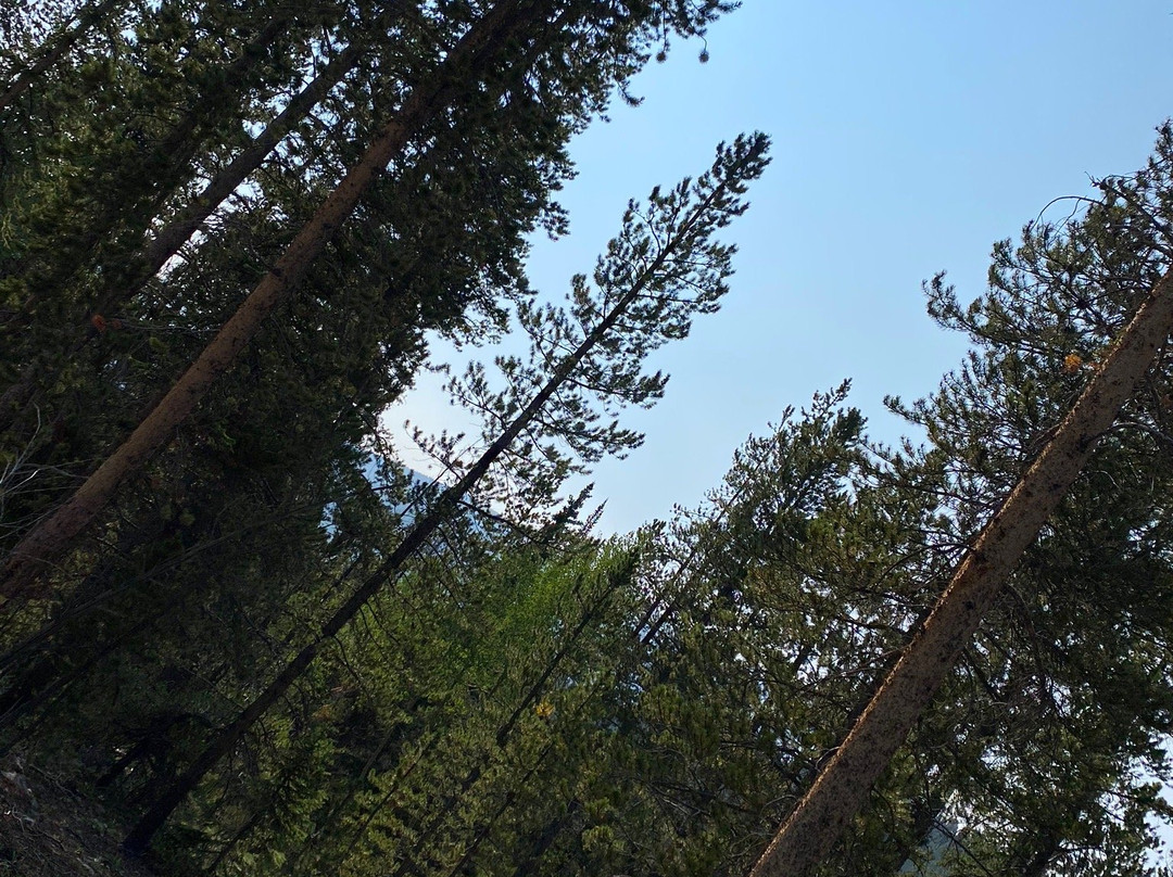 Spruce Creek Trail-布雷肯里奇必去景点