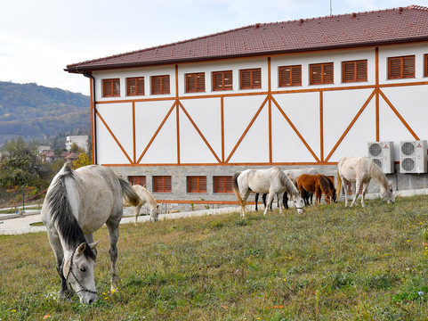 Winery Chukara-Tryavna必去景点