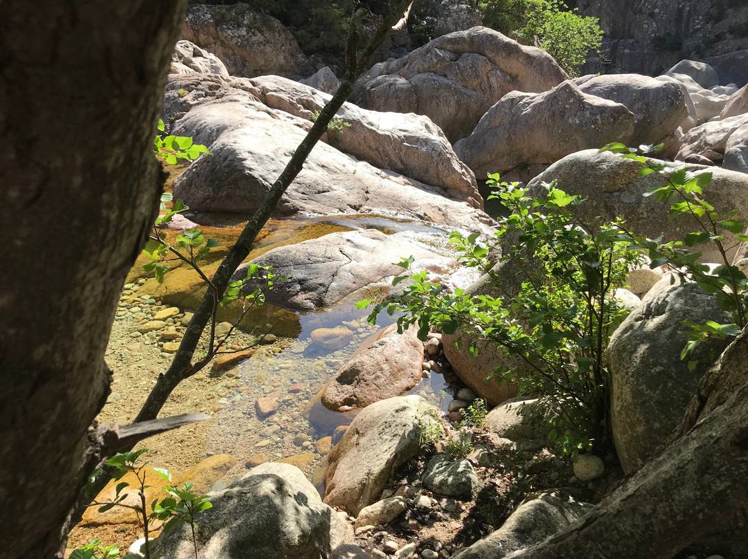 Bavella Canyon-维琪奥港必去景点