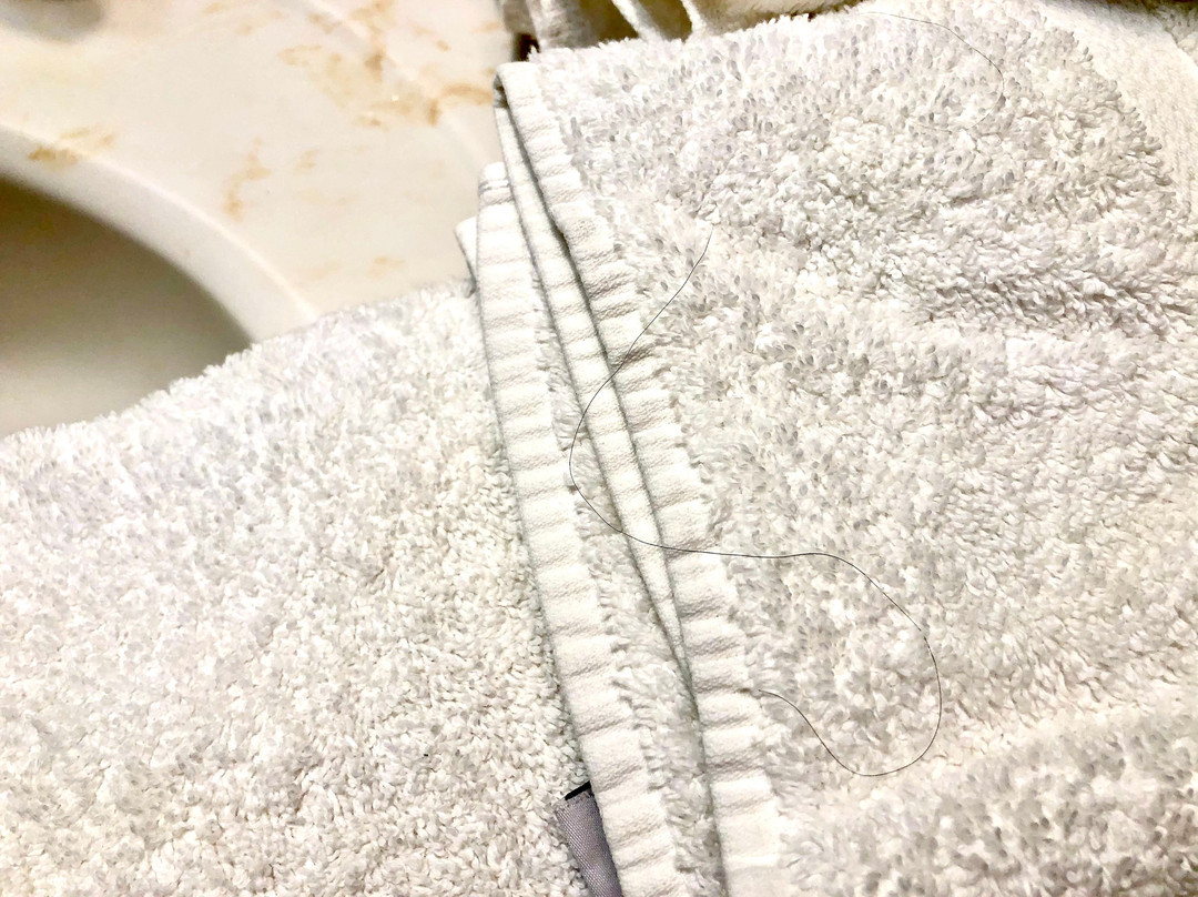 Sea Crest Resort主图