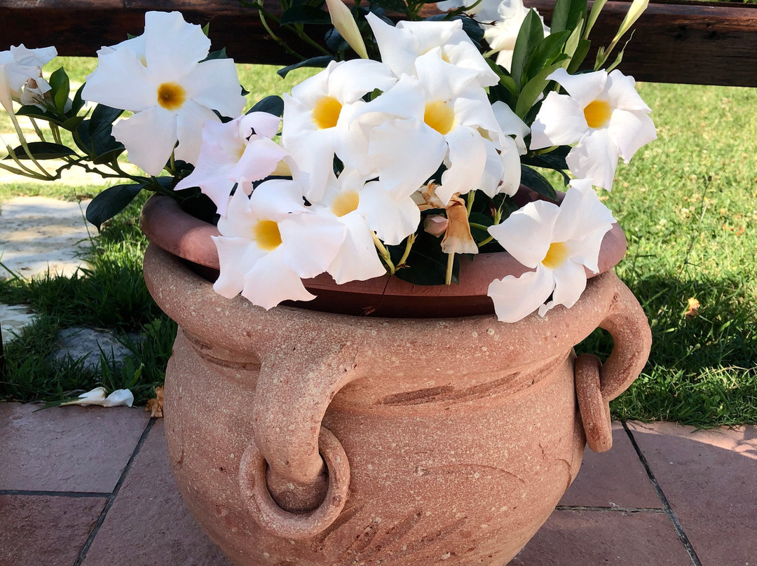 Country House La Torretta主图