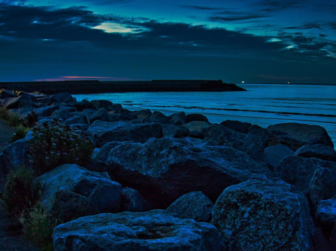 Cattersty Sands Beach景点图片