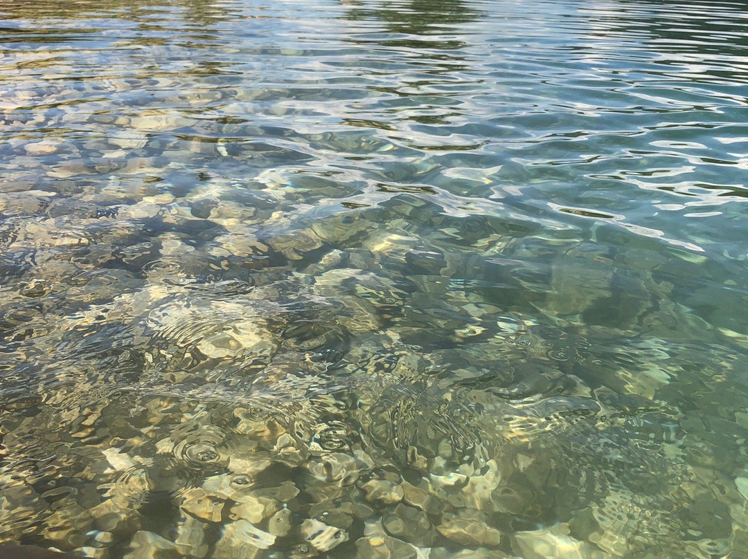 Ehrwalder Almbahn-埃尔森林市必去景点