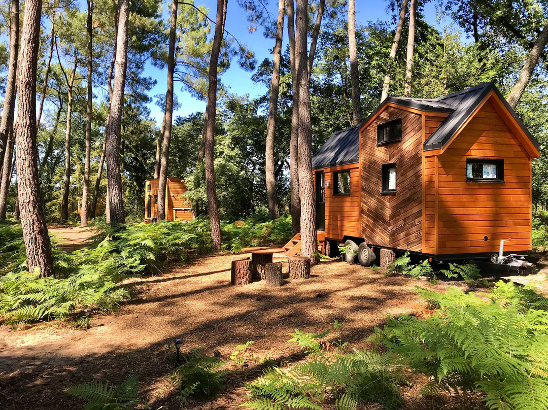 Tiny Stay Ecolodge