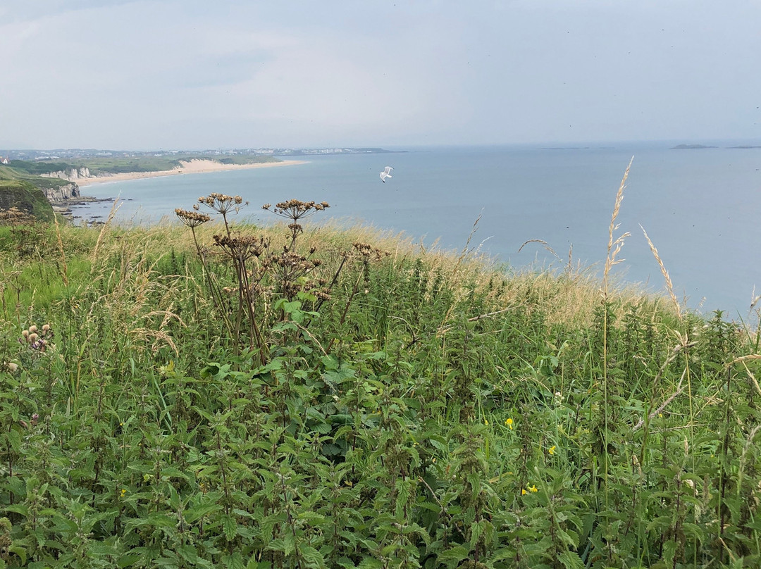 Antrim Coast Road-County Antrim必去景点