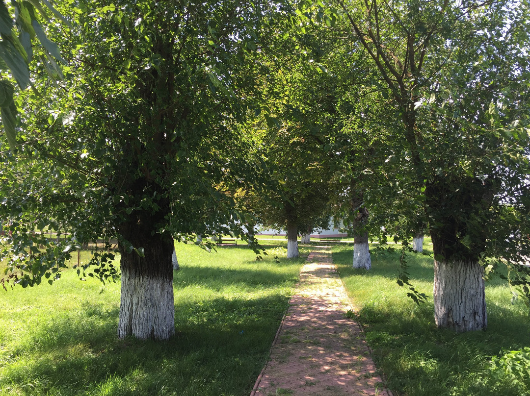 Charlottenburg-Bogda必去景点