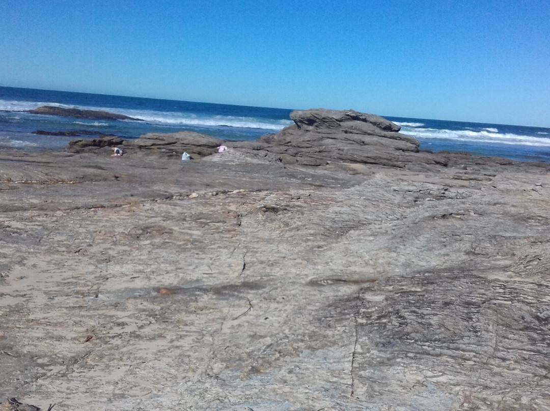 Nambucca Heads Beach景点图片