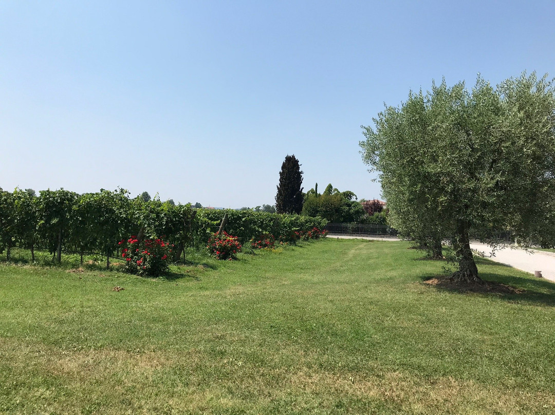 Azienda Agricola Bulgarini - Cantina Bulgarini景点图片