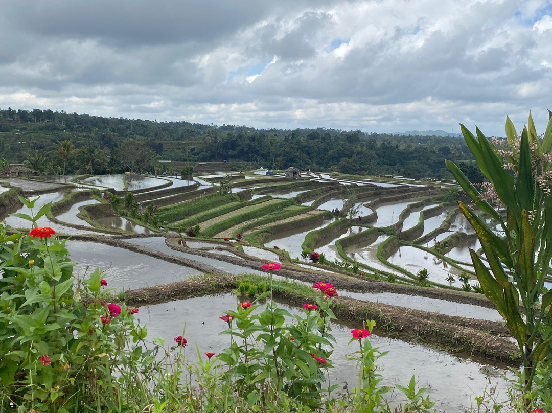 Villa Artis Jatiluwih主图