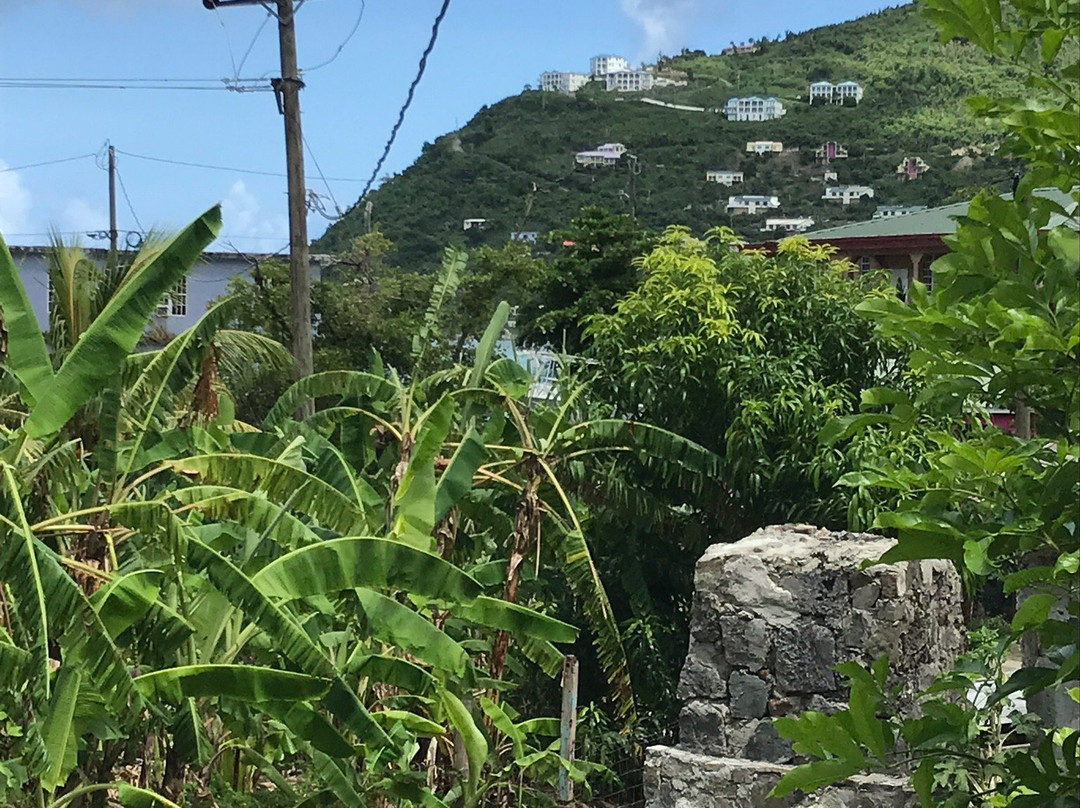 Callwood Rum Distillery-托土拉必去景点