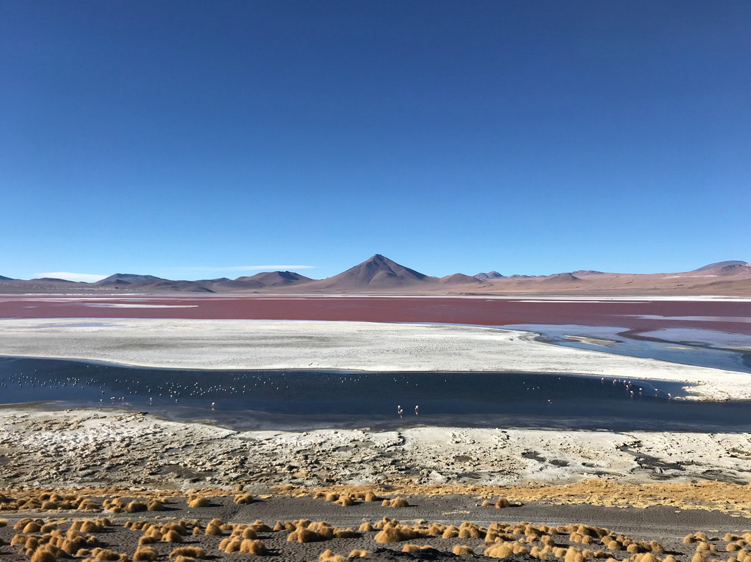 Uyuni Expeditions-乌尤尼必去景点