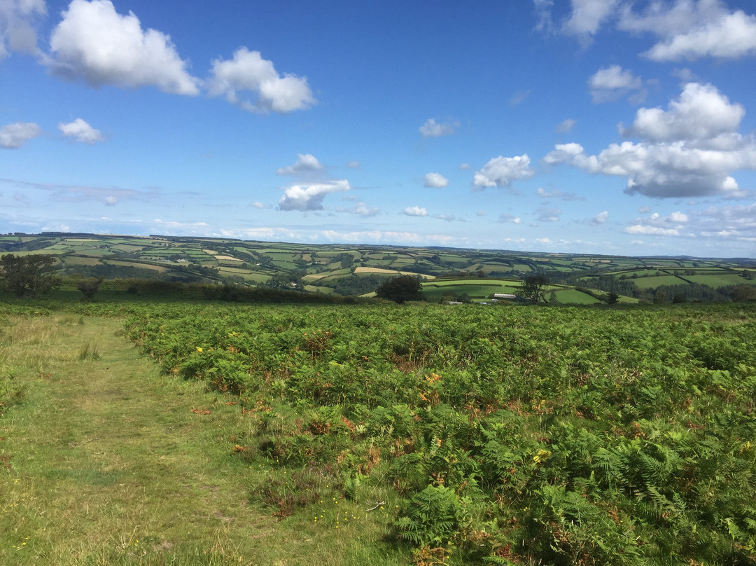 Halse Farm Caravan & Tent Park