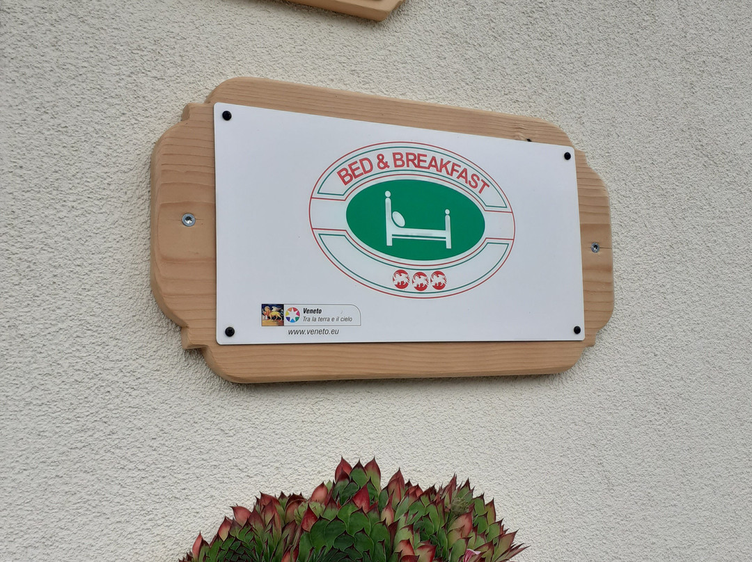 B&B SognoInCadore主图
