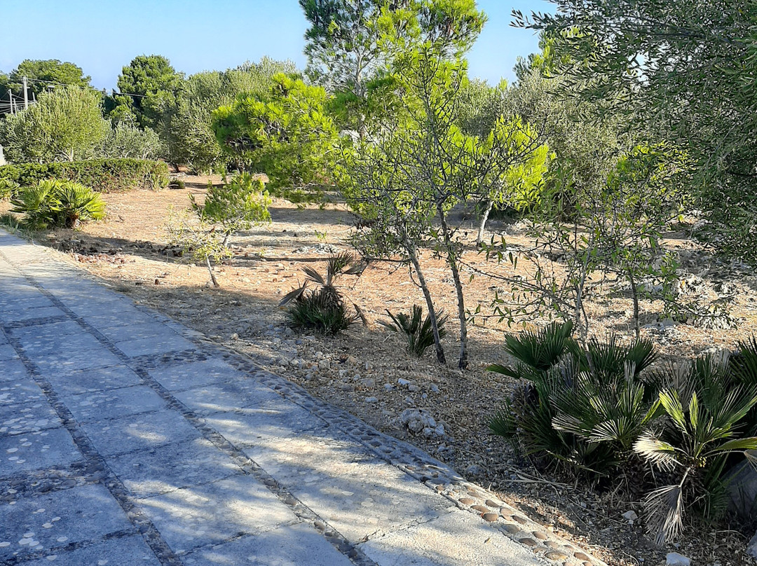 B&B CasaSolare Rakalia主图