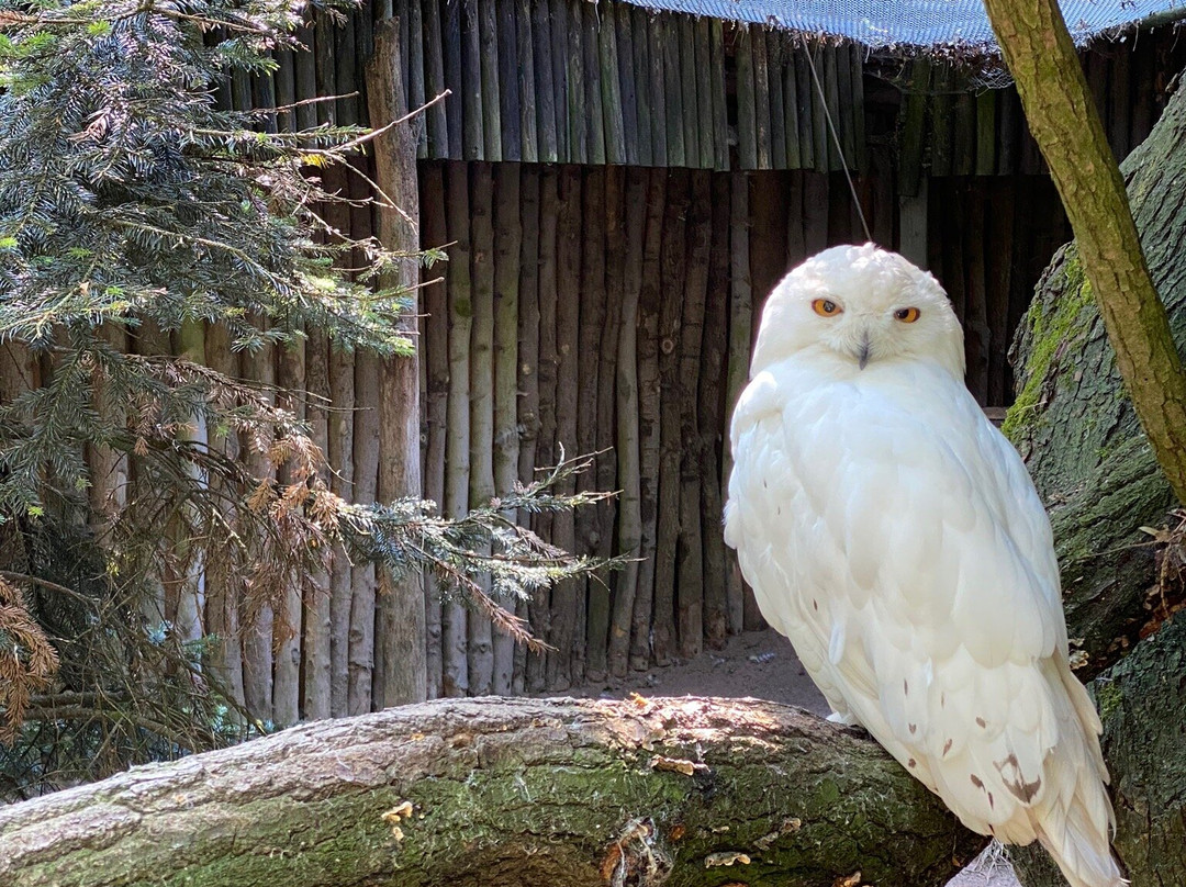 Tierpark Hamm景点图片