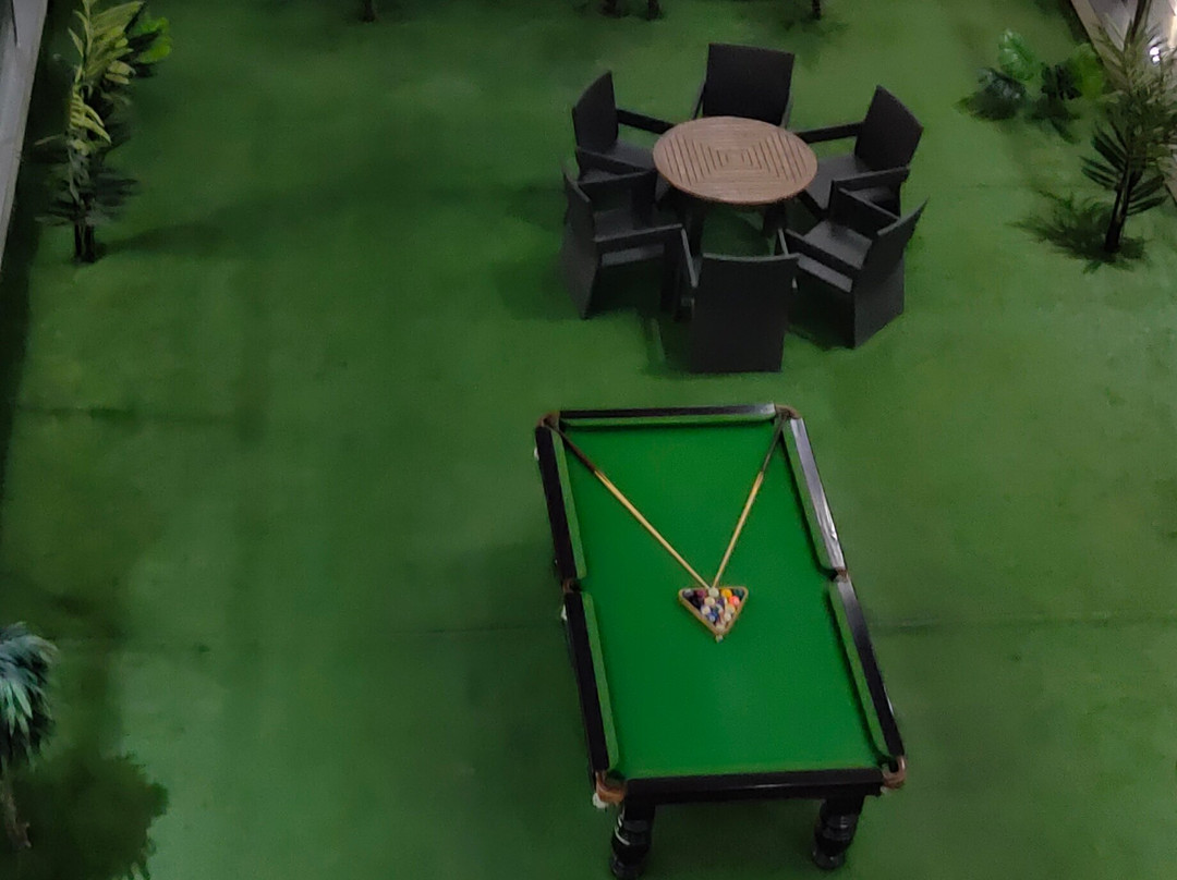 The Radiant Swan主图