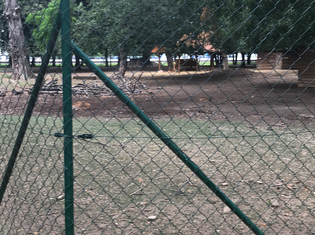 Mestský Park na Sihoti景点图片